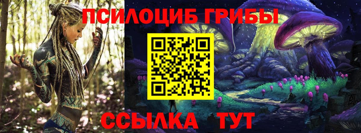 Борисоглебск  Галлюциногенные грибы ЛСД  Вход с VPN 