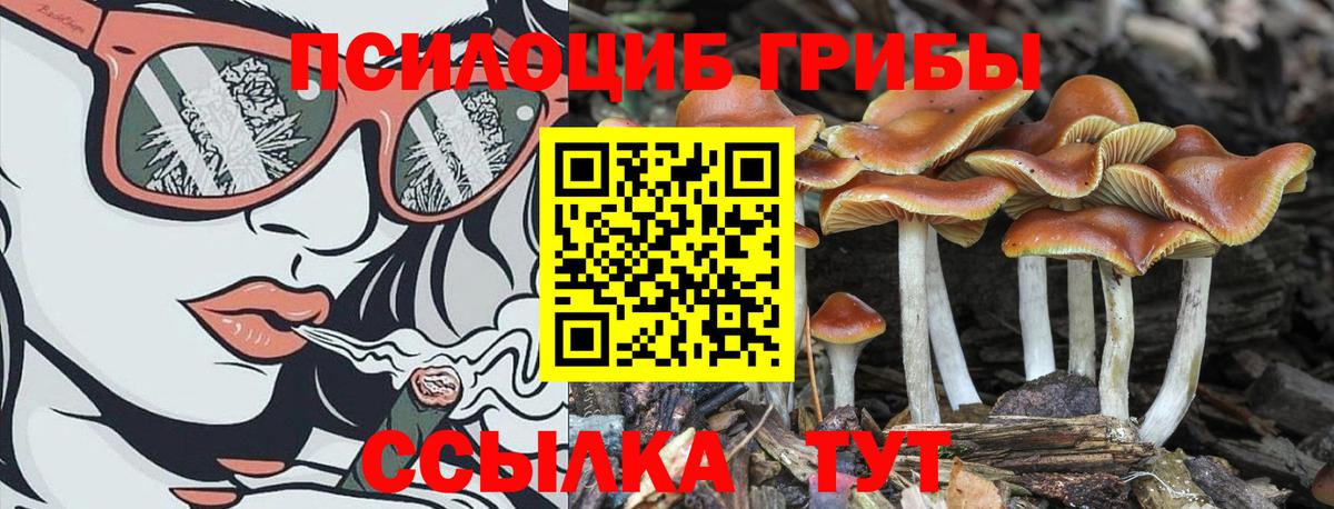 Галлюциногенные грибы Cubensis Борисоглебск